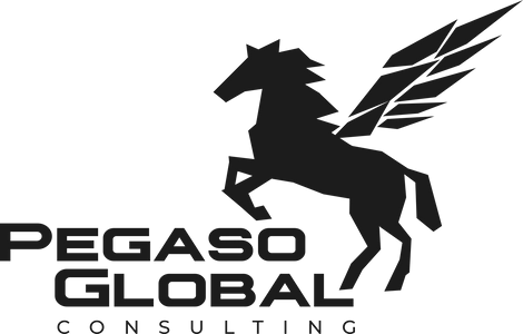 Pegaso Global Consulting